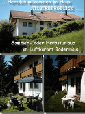 Apartamento de vacaciones en Bodenmais (Niederbayern)Casa de vacaciones