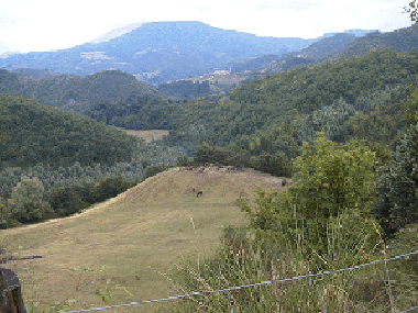Casa de vacaciones en Apecchio (Pesaro e Urbino)Casa de vacaciones