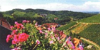 Apartamento de vacaciones en Sasbachwalden (Schwarzwald)Casa de vacaciones