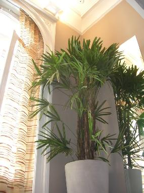Apartamento de vacaciones en Recoleta (Buenos Aires)Casa de vacaciones