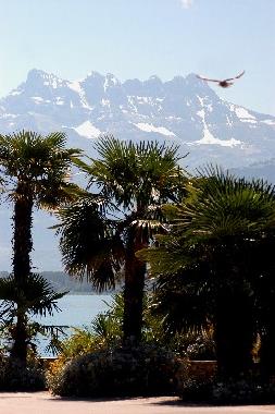 Apartamento de vacaciones en Les Monts-de-Corsier (Montreux-Vevey)Casa de vacaciones