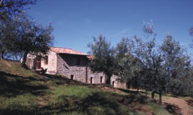 Apartamento de vacaciones en Paciano (Perugia)Casa de vacaciones
