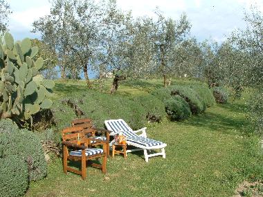 Apartamento de vacaciones en Carmignano (Firenze)Casa de vacaciones