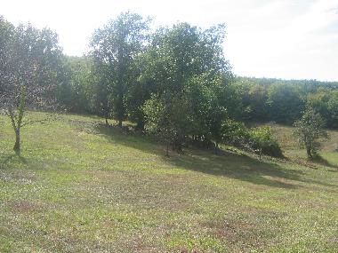 Casa de vacaciones en Les Eyzies de Tayac (Dordogne)Casa de vacaciones