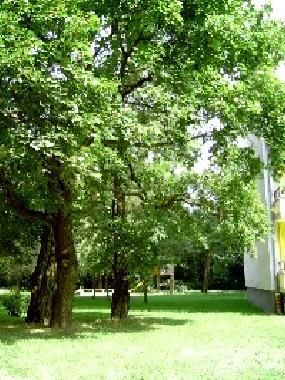 Apartamento de vacaciones en BERLIN REINICKENDORF HOLIDAY FLAT UNTERKUNFT (Reinickendorf)Casa de vacaciones