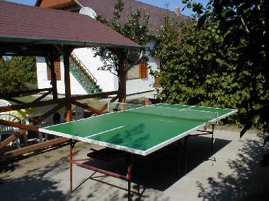 table-tennis, barbecue