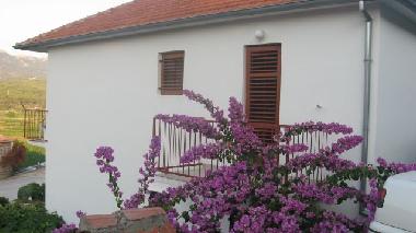 Apartamento de vacaciones en Jelsa (Splitsko-Dalmatinska)Casa de vacaciones
