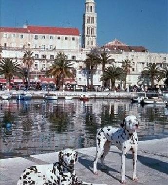 Apartamento de vacaciones en Split (Splitsko-Dalmatinska)Casa de vacaciones