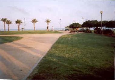 playa y jardines