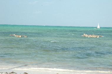 Apartamento de vacaciones en Zanzibar (Zanzibar Central/South)Casa de vacaciones