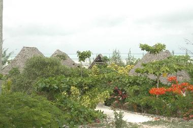 Apartamento de vacaciones en Zanzibar (Zanzibar Central/South)Casa de vacaciones