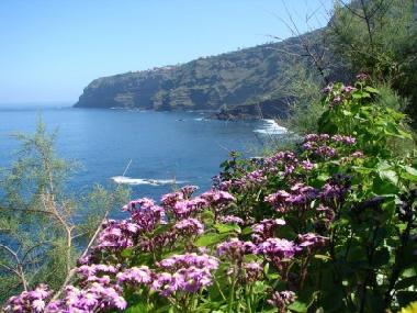 Apartamento de vacaciones en La Orotava - El Rinc�n (Teneriffa)Casa de vacaciones