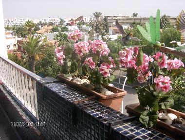 Apartamento de vacaciones en CASABLANCA (Casablanca)Casa de vacaciones