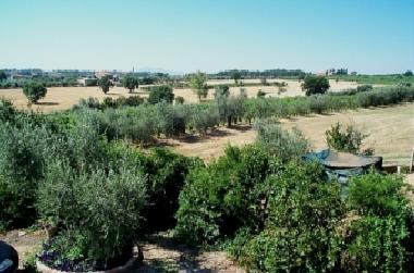 Apartamento de vacaciones en pozzuolo (Perugia)Casa de vacaciones