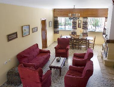 Gran sal�n-comedor con chimenea y aire acondicionado