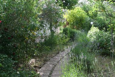 Jardin con flores de Japan, bamboo, palmiers, lavanda, citrons,