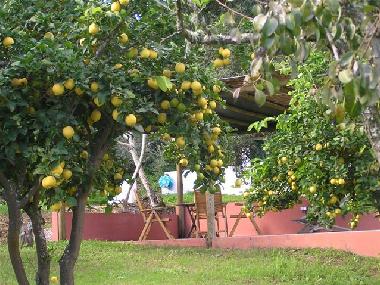 Casa de vacaciones en Gr�ndola (Alentejo Litoral)Casa de vacaciones