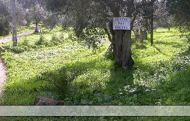 Casa de vacaciones en Gr�ndola (Alentejo Litoral)Casa de vacaciones