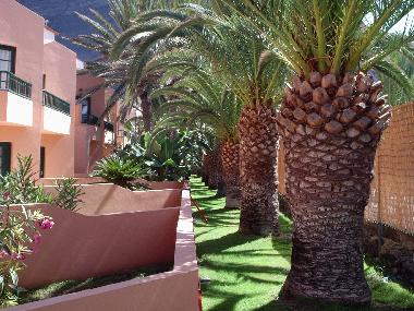Apartamento de vacaciones en Valle Gran Rey (La Gomera)Casa de vacaciones