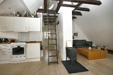 Apartamento de vacaciones en Vanl�se Copenhagen (Kobenhavn)Casa de vacaciones