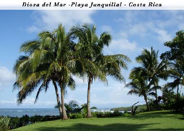 Palacio / Castillo en Guanacaste (Guanacaste)Casa de vacaciones