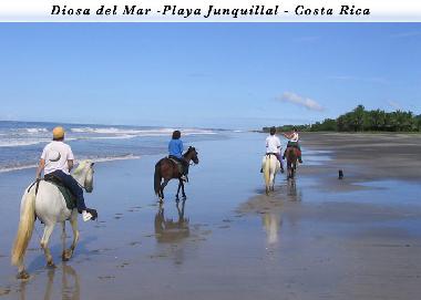 Palacio / Castillo en Guanacaste (Guanacaste)Casa de vacaciones