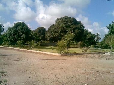 Apartamento de vacaciones en Dar es Salaam (Dar es Salaam)Casa de vacaciones