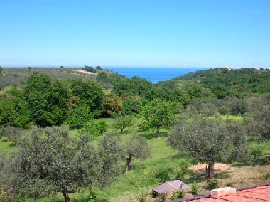 SE VE EL MAR DESDE EL JARDIN