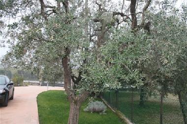 Apartamento de vacaciones en Raffa di Puegnago (Brescia)Casa de vacaciones