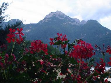 Chalet en Domegge di Cadore (Belluno)Casa de vacaciones