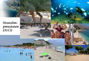 Apartamento de vacaciones en Duce (Splitsko-Dalmatinska)Casa de vacaciones
