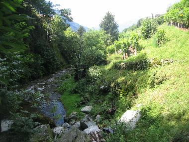 Nuestra casa se encuentra donde esta el pino.