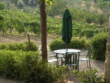 Apartamento de vacaciones en Castelnuovo Berardenga (Siena)Casa de vacaciones