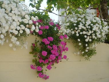 Apartamento de vacaciones en Agios Gordios (Kerkyra)Casa de vacaciones
