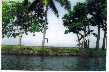 Barco en KOTTAYAM (Kerala)Casa de vacaciones