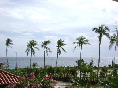 Vista al mar desde la terraza