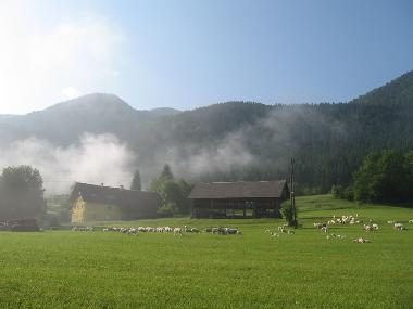 Apartamento de vacaciones en Bohinjska Bistrica (Bohinj)Casa de vacaciones