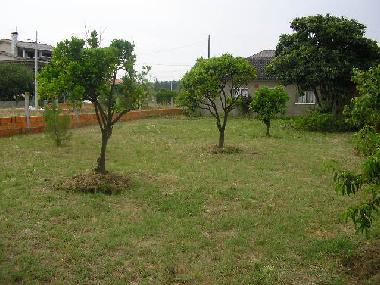 Apartamento de vacaciones en VAGOS (Baixo Vouga)Casa de vacaciones