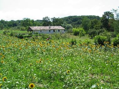 Casa de vacaciones en Port-Sainte-Marie (Laggarigue) (Lot-et-Garonne)Casa de vacaciones
