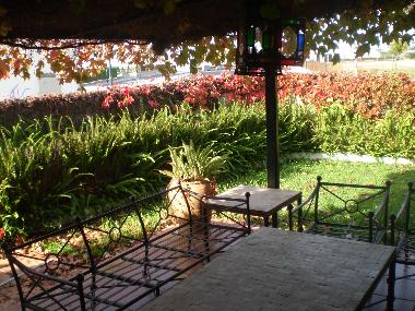 Jardin