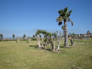 Apartamento de vacaciones en Noto (Siracusa)Casa de vacaciones