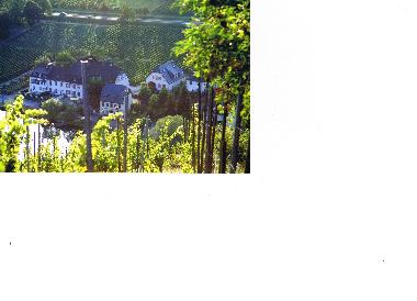 Apartamento de vacaciones en Piesport (Mosel - Saar)Casa de vacaciones