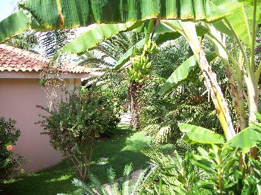 Apartamento de vacaciones en San Nicolo' di Ricadi  (Vibo Valentia)Casa de vacaciones