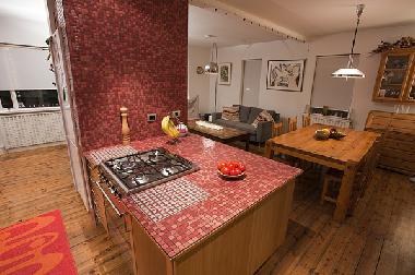 Apartamento de vacaciones en Reykjavik (Reykjavik)Casa de vacaciones