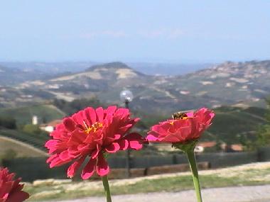 Apartamento de vacaciones en belvedere langhe (Cuneo)Casa de vacaciones