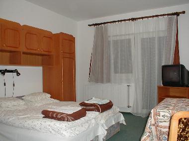 Apartamento de vacaciones en Zalakaros (Zala)Casa de vacaciones