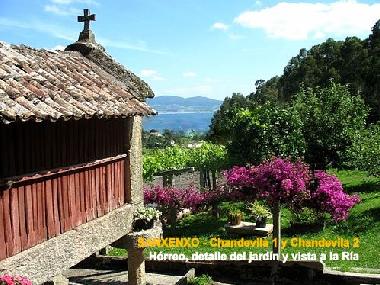 Sanxenxo - Casas de vacaciones Chandevila 1 y Chandevila 2 - H�rreo, detalle del jard�n y vista a la