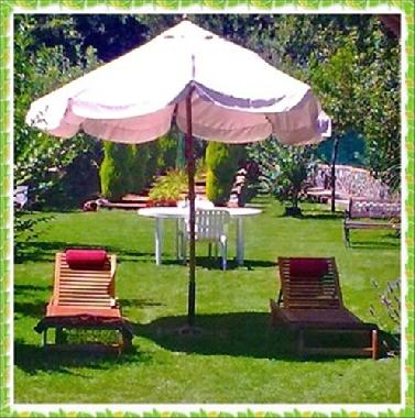 El jardin en verano