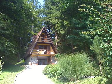 Chalet en Andraz (Mozirje)Casa de vacaciones