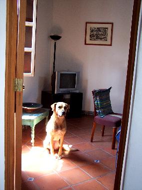 Apartamento de vacaciones en Antigua (Sacatepequez)Casa de vacaciones